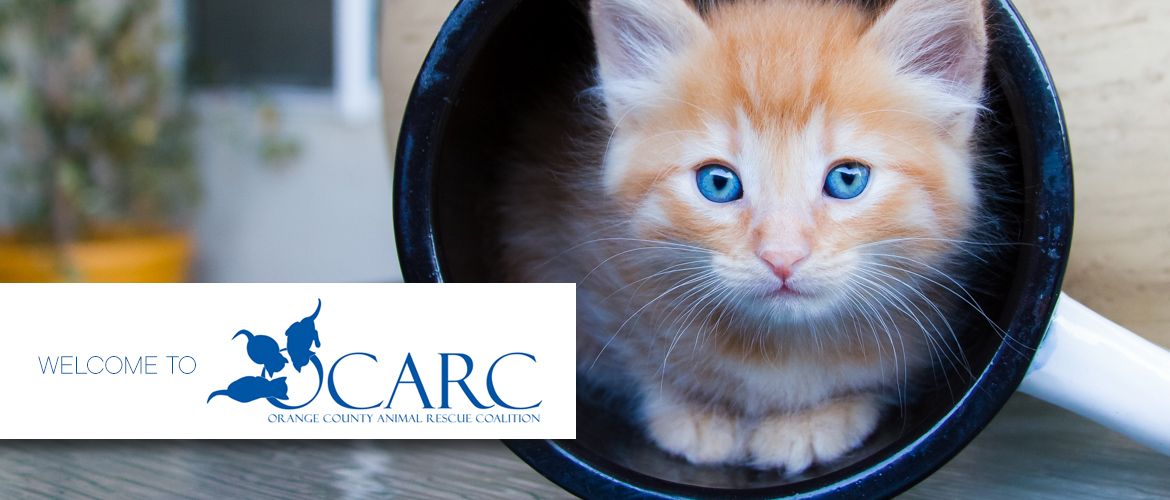 OC-ARC – Orange County Animal Rescue Coalition OC-ARC – Orange County Animal Rescue Coalition
